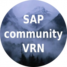  22 апреля прошла первая в Воронеже конференция SAP Community Day.